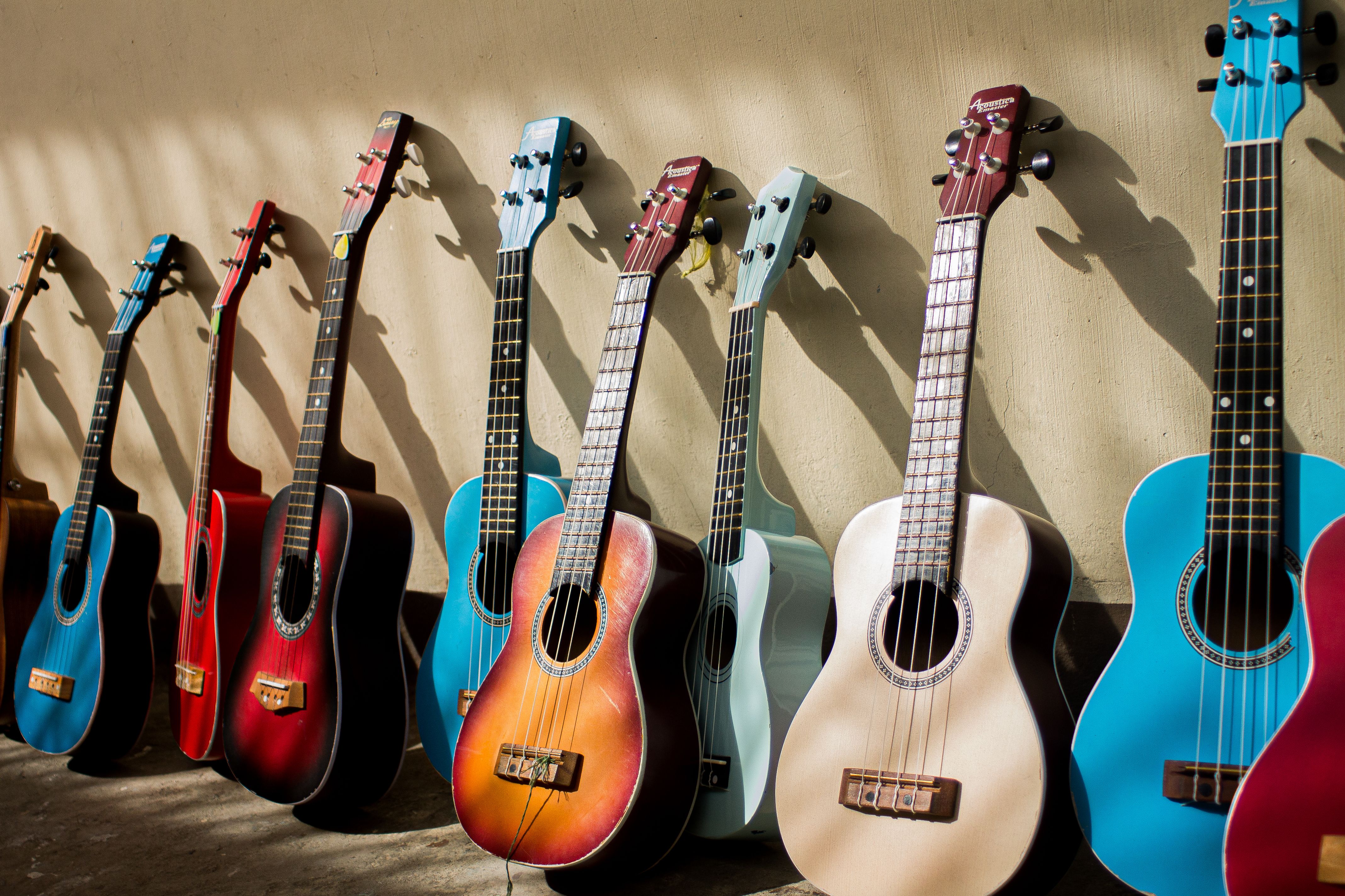 Tout l'univers de la guitare expliqué et illustré
